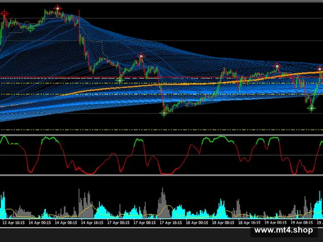 ORION EA Scalper 源码
