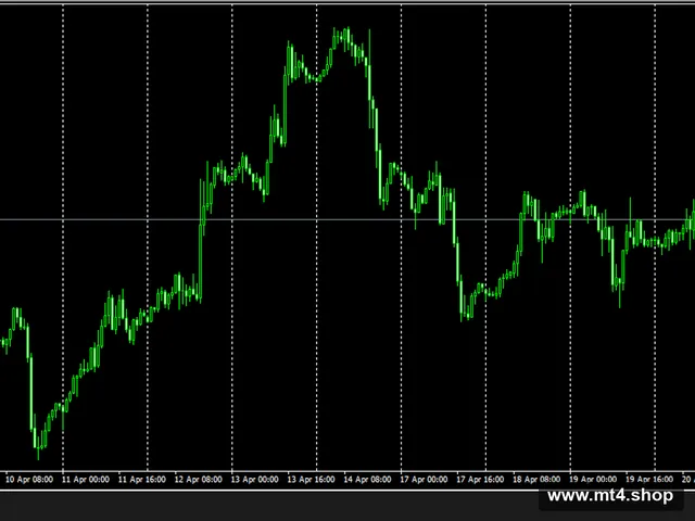 Momentum EA 源码