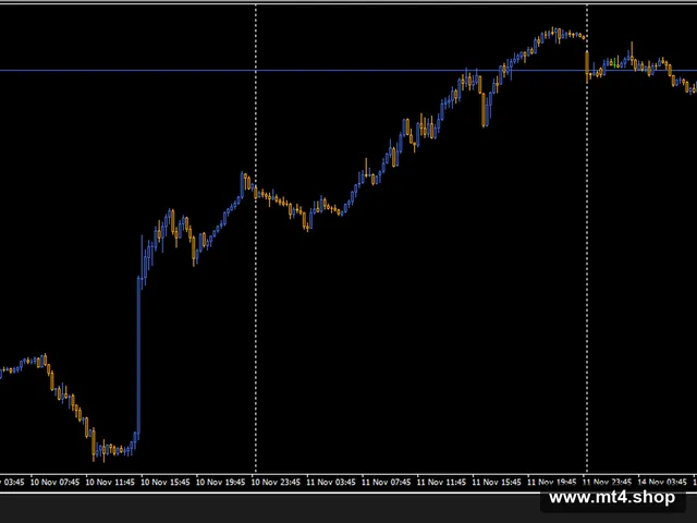 Hippo Trader Pro_fix