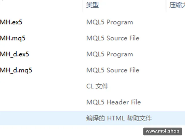 Neural NeW MT5 EXP 源码