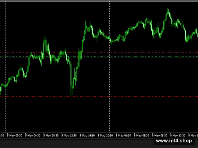 RSI_Value_EA 源码