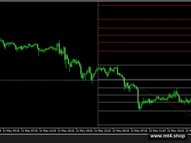 Algo_Plus EA