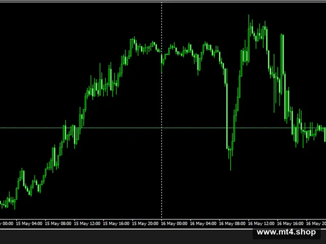 Perfect EA 5.5