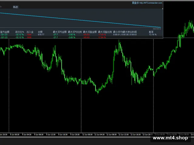 WG_liteV1.1
