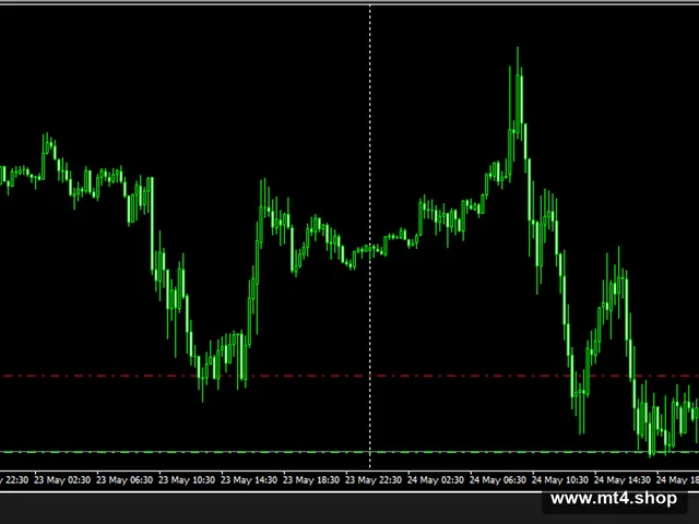 Hedging_Forex_EA1_fix