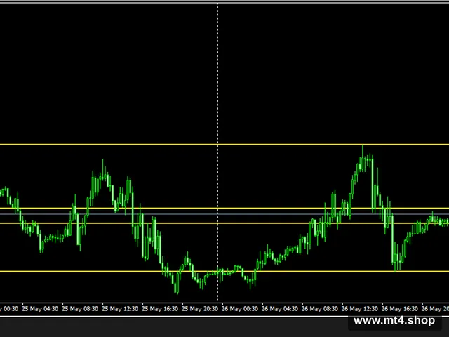 Fibot EA