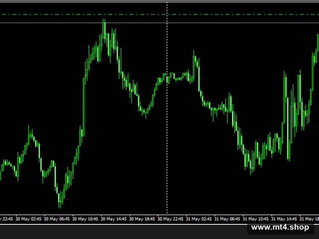 Forex-Steroid-EA