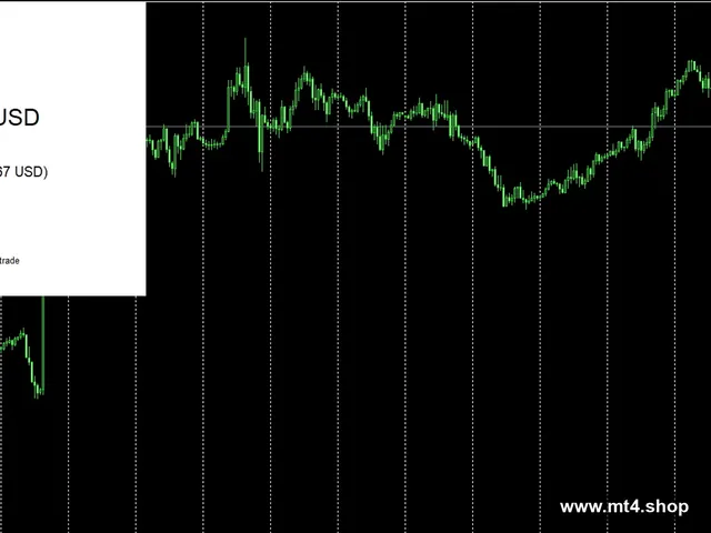 Vision Scalper 5.3_fix