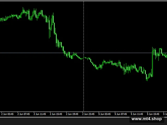 Momentum Maxi EA