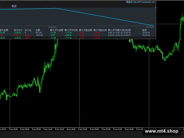 Pioneer Pips Killer
