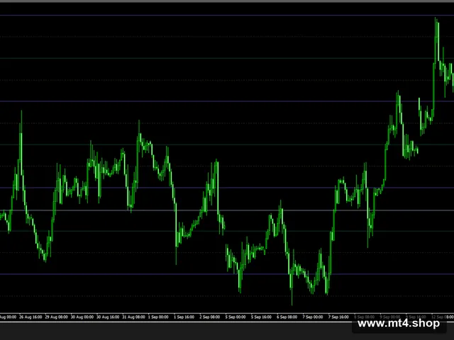 FXSSI.RoundLevels