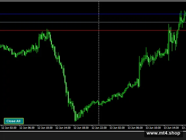 Trailing Entry EA