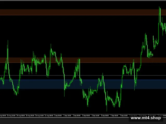 Support&Resistance