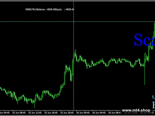 SCALP H1 STANDARD 500$ 源码