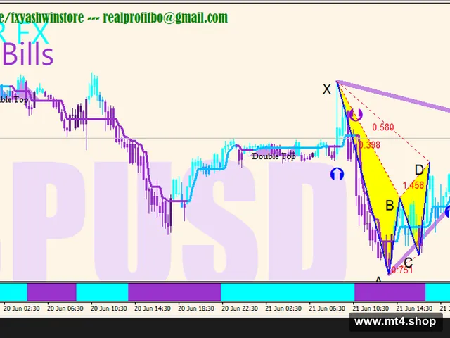 SIOR FX Purple Bills System