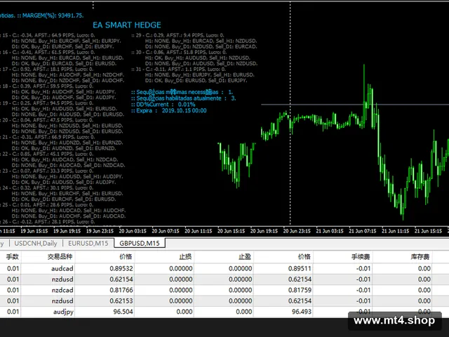 SMART HEDGE ver.13.0 Pro_fix