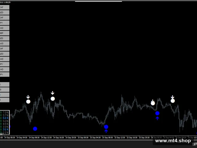 Forex Vector Strategy
