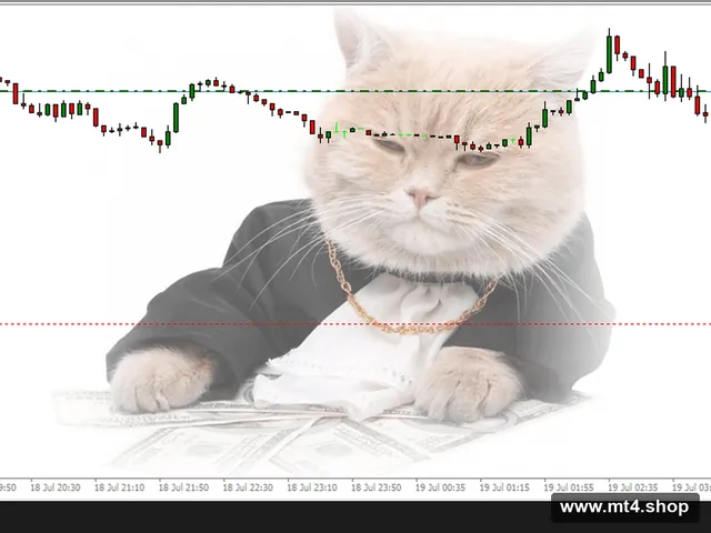 Money Сat_2.05_fix