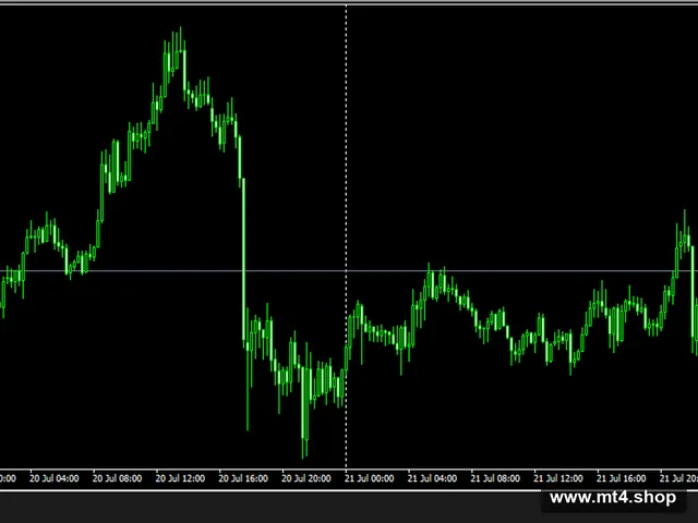 Forex-Flex-EA MT4 v5.1b (FTMO)