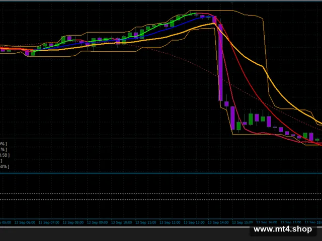 2019_SAL_ Strategy