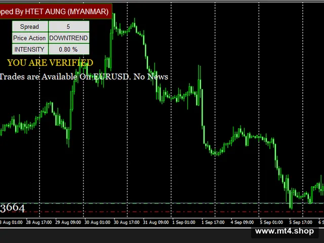 TRADER_fix