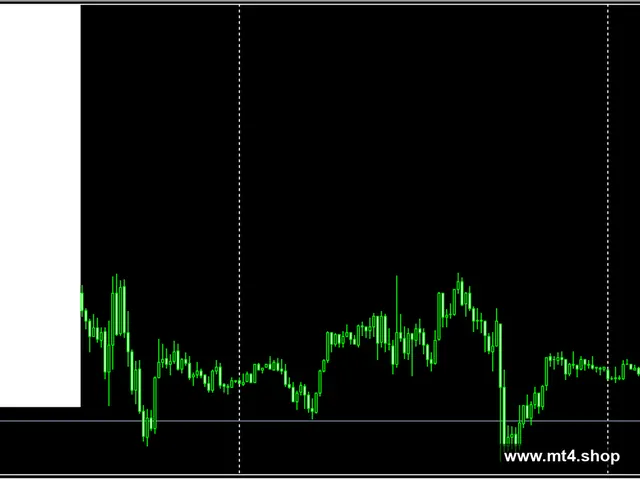Vision Scalper v5.5_fix