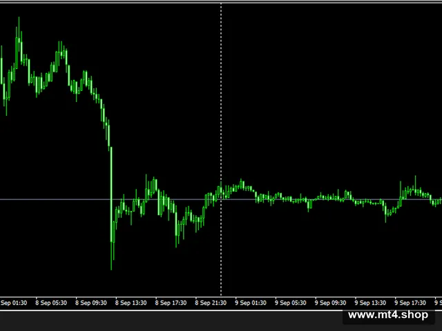 Euro_Scalper_fix