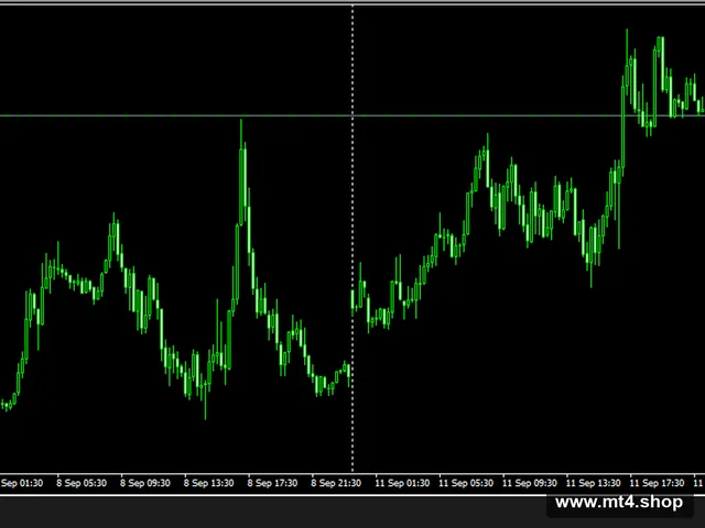 Trend Auto Reverse EA