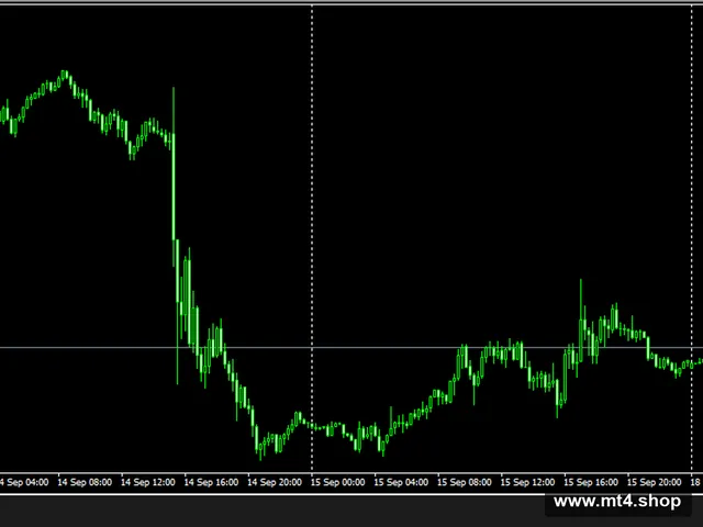 WallStreet Recovery Pro