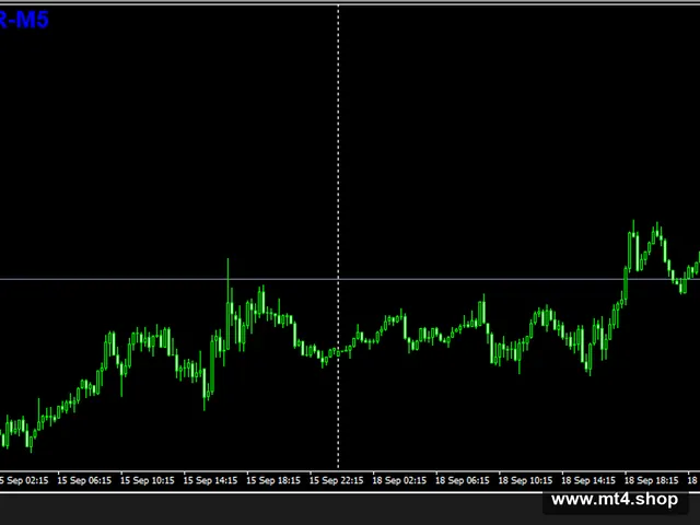winscalper 2020 源码
