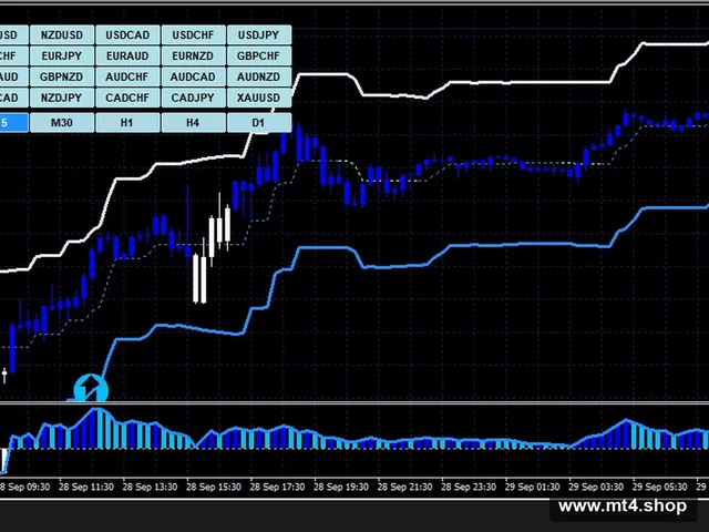 BlueStarck Trading System 源码