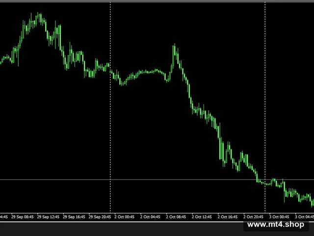 EA FAST SCALPER VER 4.8