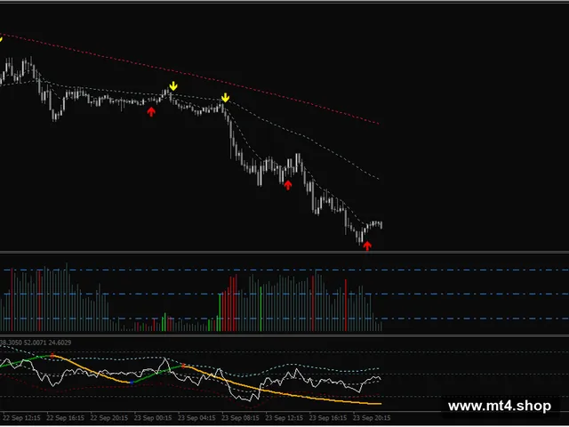 Alfa-Trading 源码