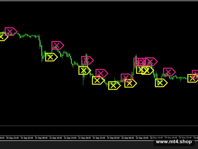 Algo for Professional Traders