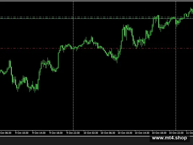 AUTO GOLD SCALPER-AGS 2023_fix