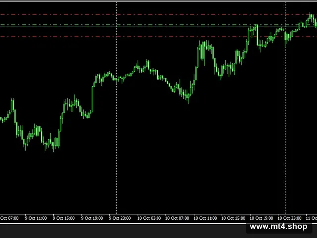 Bank Hedging_Fix