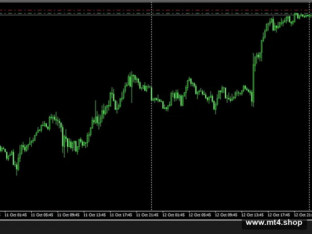 EasyMoney XRay Robot_fix