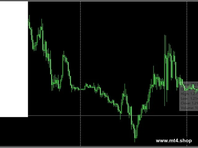 Vision Scalper v5.5_fix