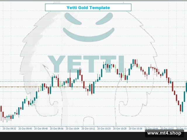 YettiAUTOTRADE_EN_Fix