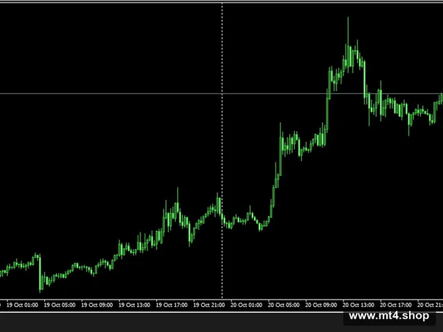 XXX777.003_fix