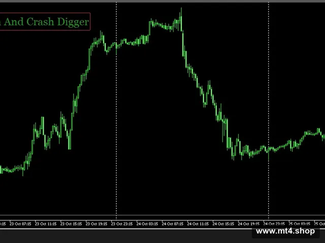 Boom And Crash Digger 源码
