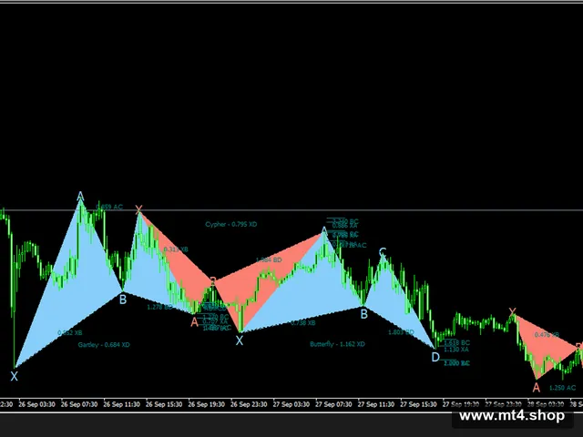 Automated Harmonic