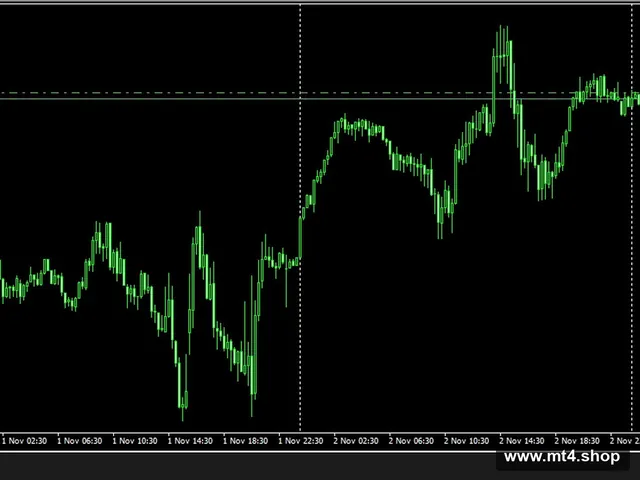 EUPHORIA EA