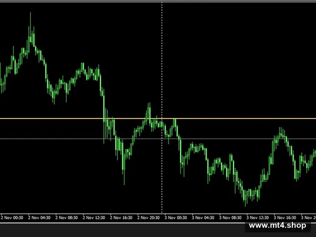 Fibot EA
