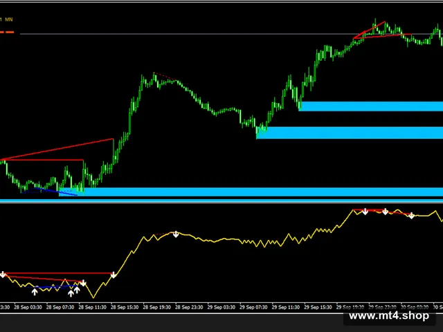 Bank-Secret-Indicator