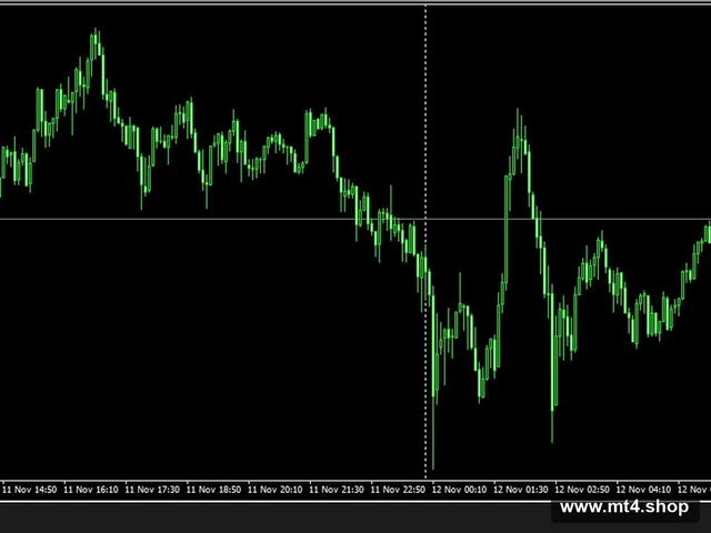 FX ViP SMART SAFE TRADER EA V1.5_LIVE ACCOUNT