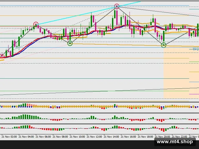 Binary Options Fibonacci Trend Strategy System 源码