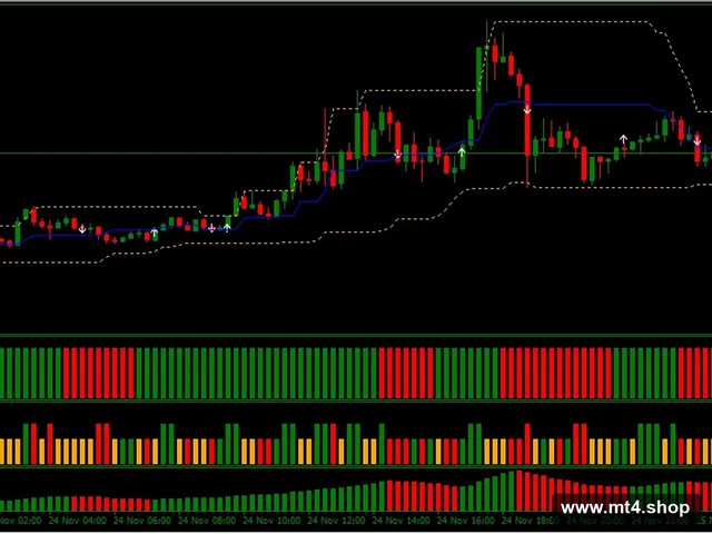 robofx scalping system 源码