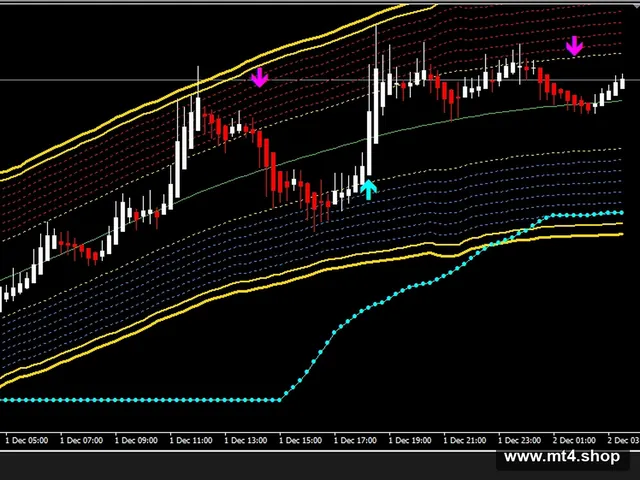 FOREX MIDL TRADING SYSTEM 源码
