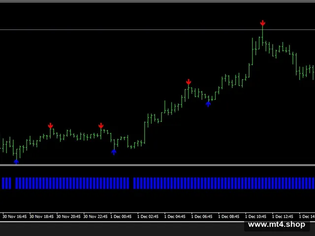 FOREX SAS system
